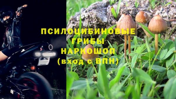 таблы Алексеевка