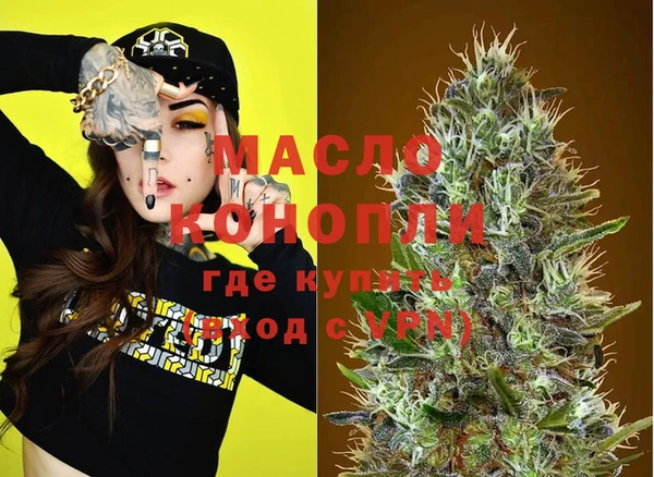 крисы Няндома