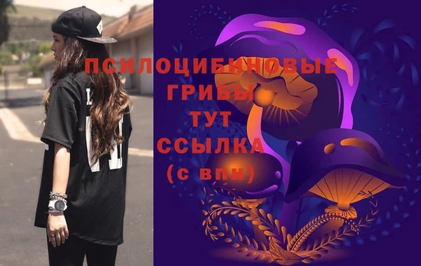 таблы Алексеевка