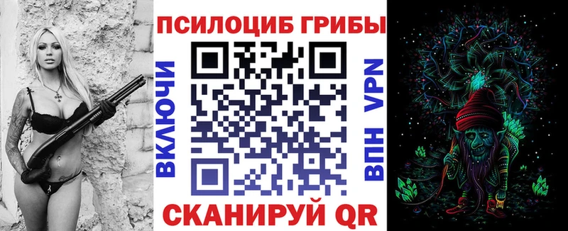 дарнет шоп  Ленинск-Кузнецкий  Псилоцибиновые грибы мицелий 
