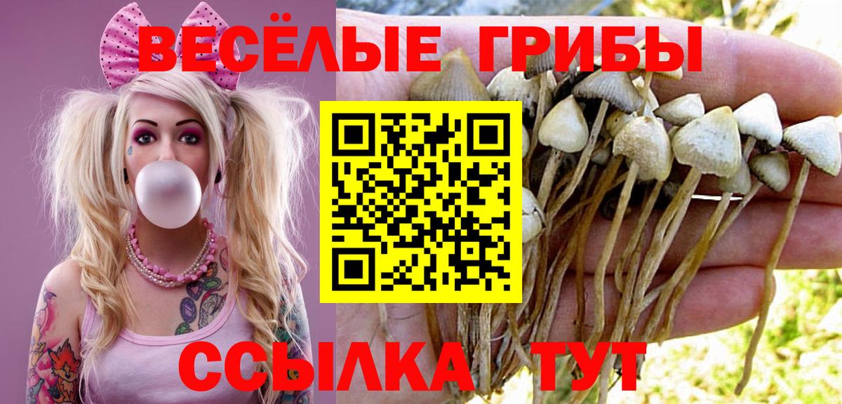 Псилоцибиновые грибы Magic Shrooms Ленинск-Кузнецкий