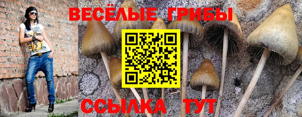 Ленинск-Кузнецкий  Псилоцибиновые грибы Magic Shrooms  Вход с VPN 
